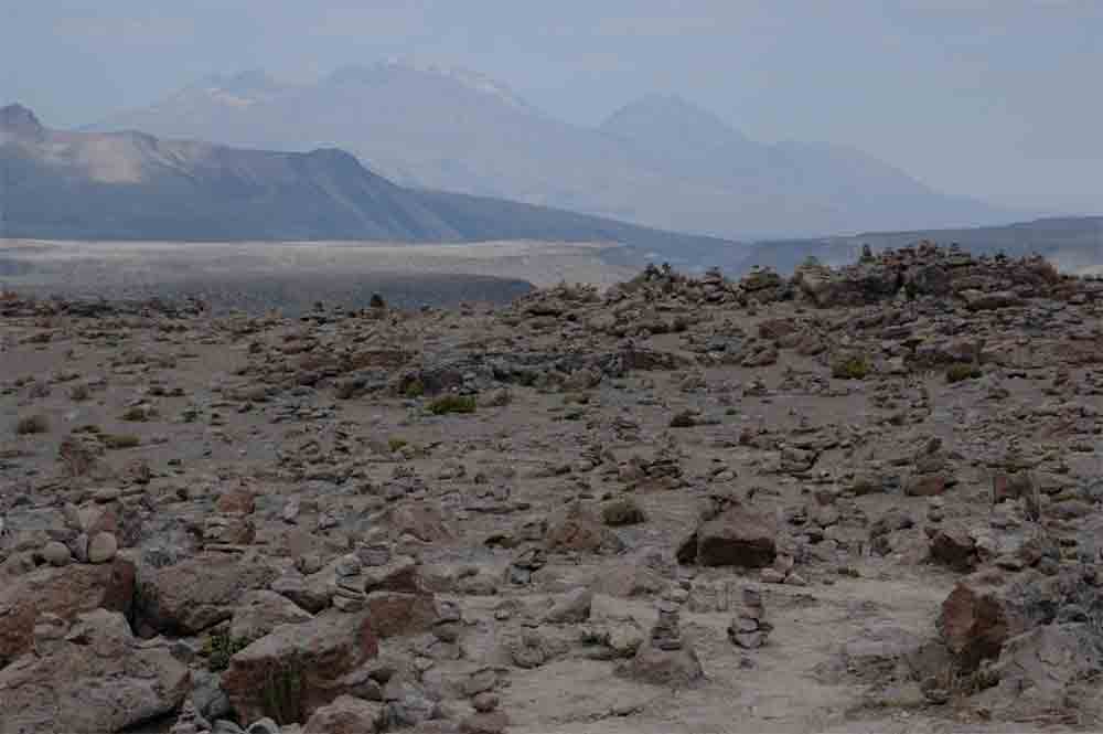168 - Peru - reserva natural de Salinas y Aguada Blanca, 4910m.